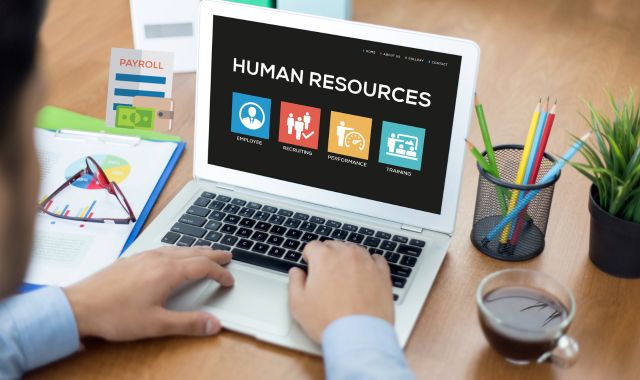Services Sector 

Human Resources /Payroll outsourcing